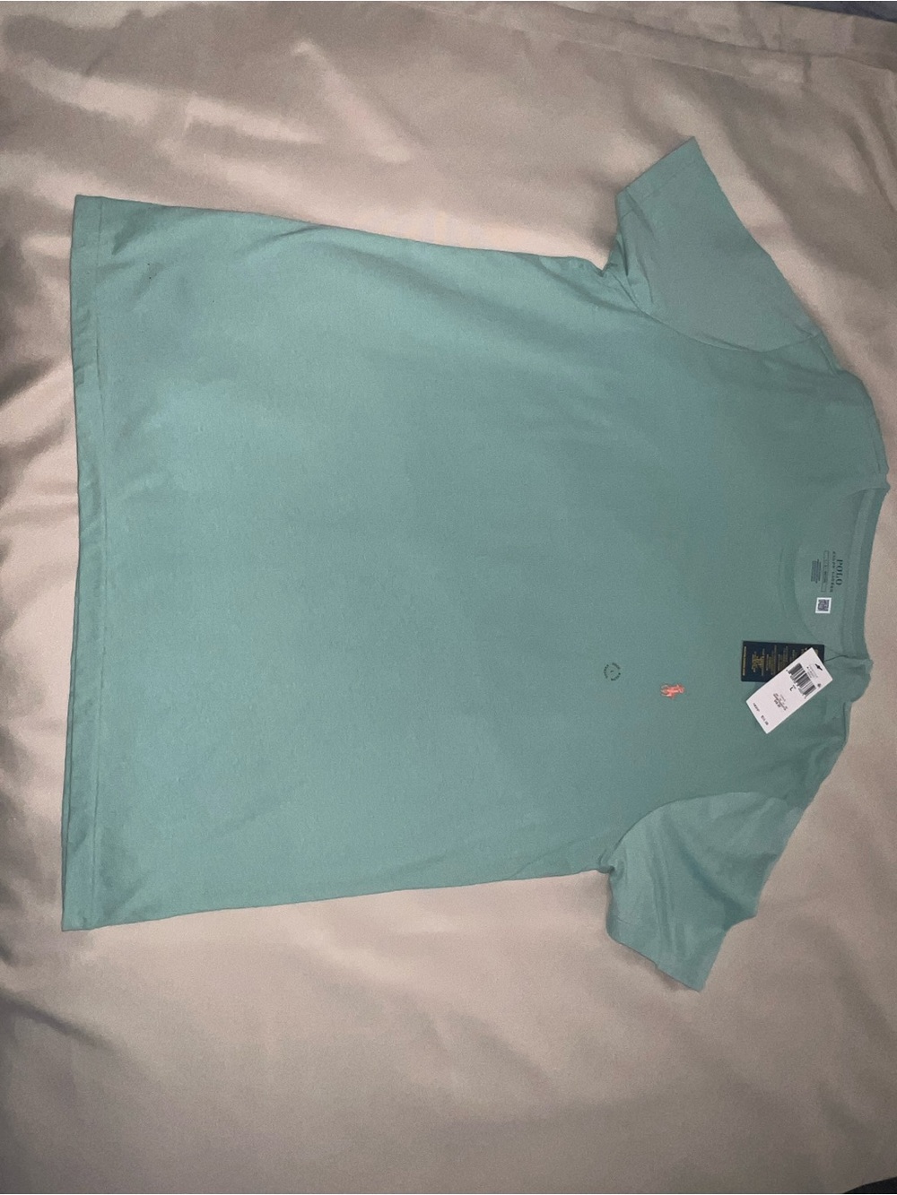 Polo by Ralph Lauren Short Sleeve Tee in Mint